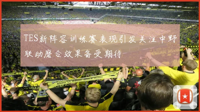 TES新阵容训练赛表现引发关注中野联动磨合效果备受期待