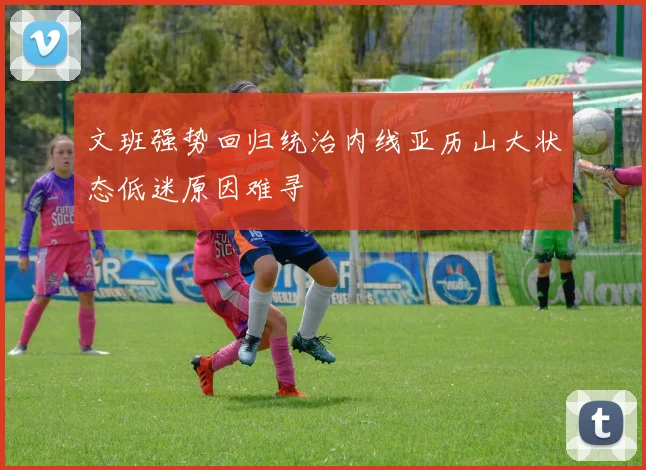 文班强势回归统治内线亚历山大状态低迷原因难寻