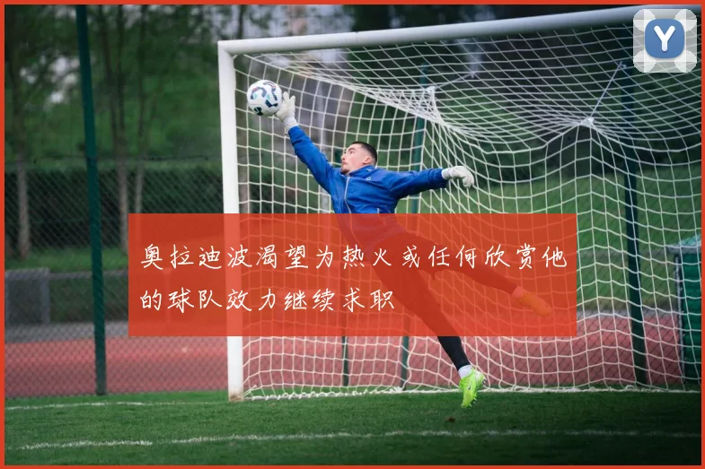 奥拉迪波渴望为热火或任何欣赏他的球队效力继续求职