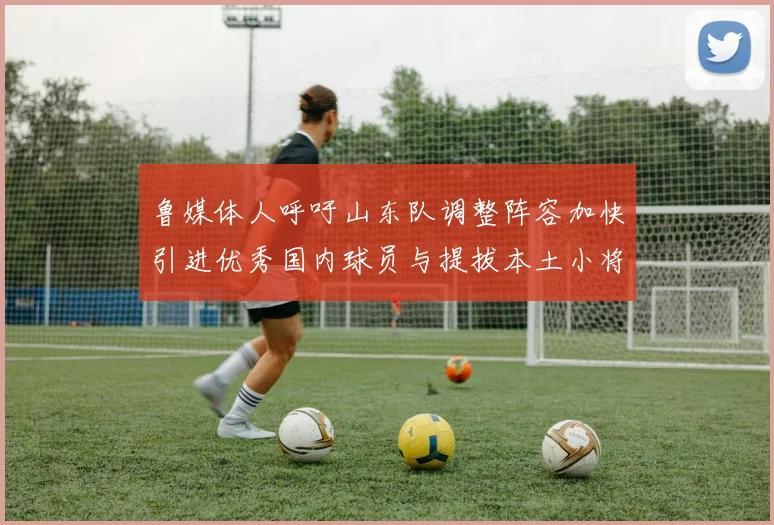 鲁媒体人呼吁山东队调整阵容加快引进优秀国内球员与提拔本土小将